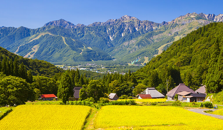 他の旅人が閲覧